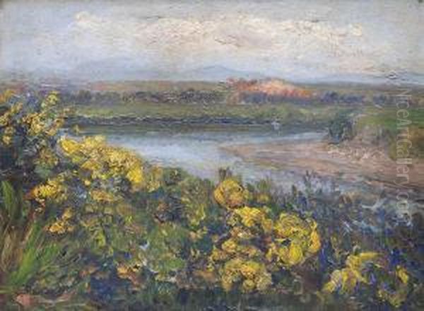 Paesaggio - view 1
