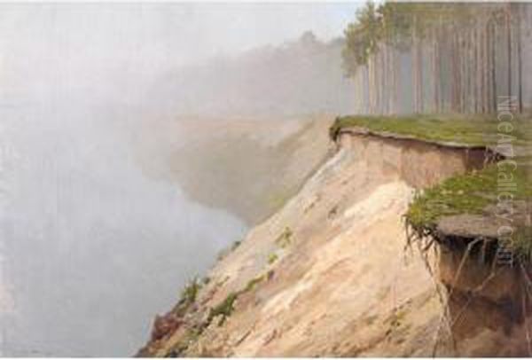 Misty Coastline - view 1