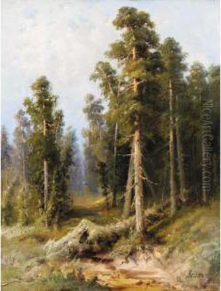 Forest With Wind-felled Trees - view 1