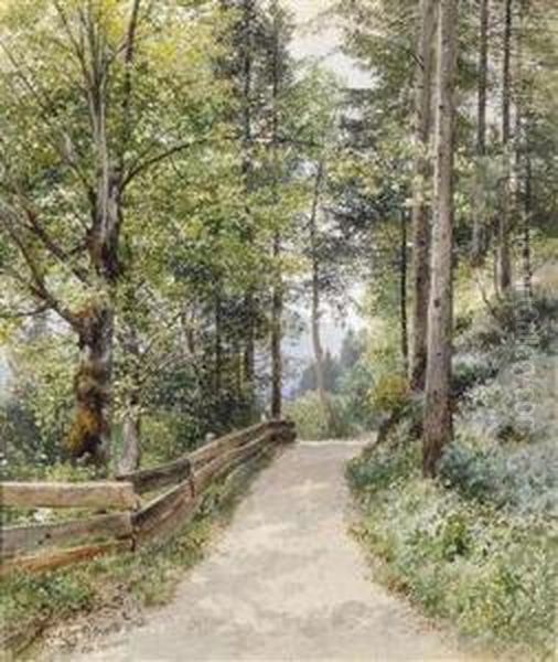 Waldweg Beigoisern - view 1