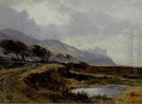 A View Of Harlech Castle - view 1