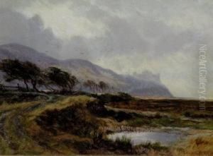 A View Of Harlech Castle by Edwin Pettitt