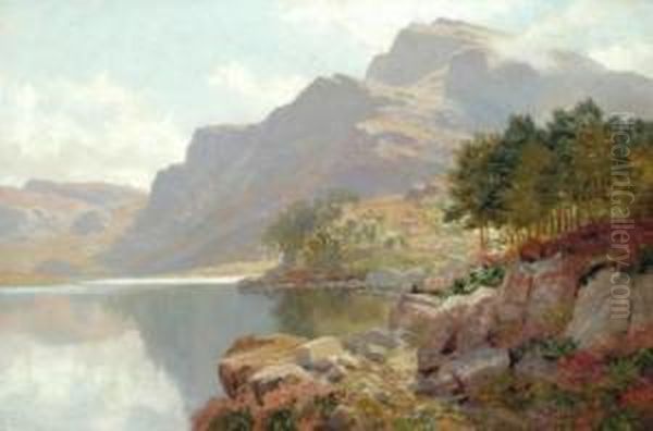 Llyn Cwm Bycham - view 1