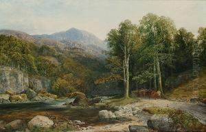 On The Llugwy N-wales by Edwin Pettitt