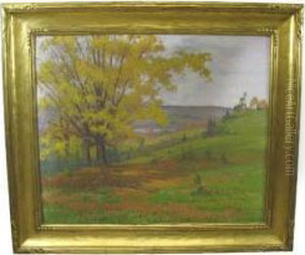 Late Afternoon Inoctober - view 1