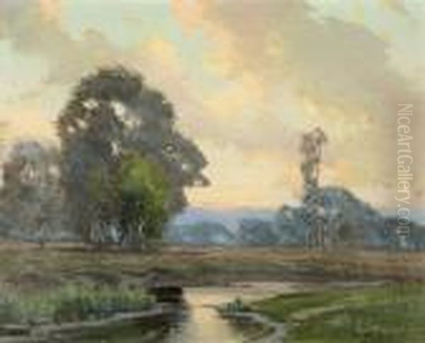 Flusslandschaft In Illinois. - view 1