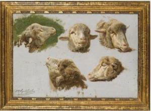 Studies Of Sheep Heads by Juliette Peyrol Bonheur