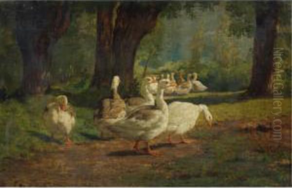 Geese In A Wooded Glade - view 1