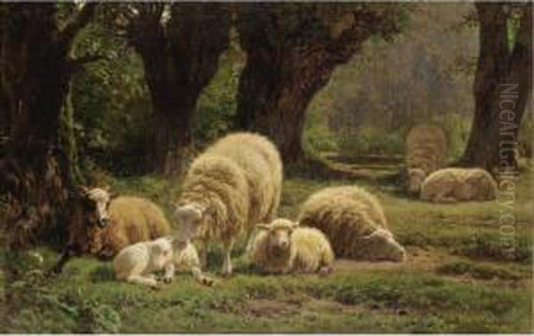 Sheep Grazing In A Wooded Clearing - view 1