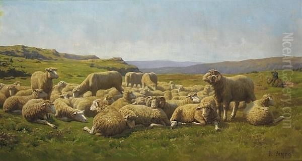 A Flock Of Sheep - view 1