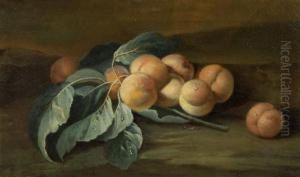 Still Life With Apricots by Maximilian Pfeiler