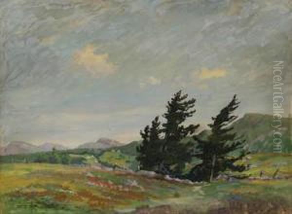 Early Spring Landscape - view 1