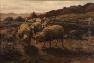 Sheep Grazing by William Preston Phelps
