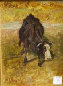 The Roving Cow by William Preston Phelps
