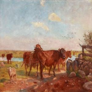 Kvaeg Pa Vanderens Vaenge. Saltholm