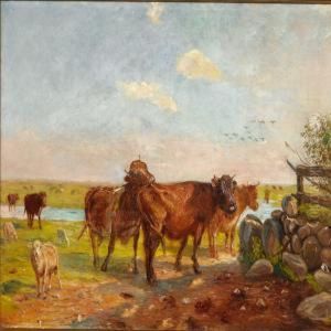 Kvaeg Pa Vanderens Vaenge. 
Saltholm