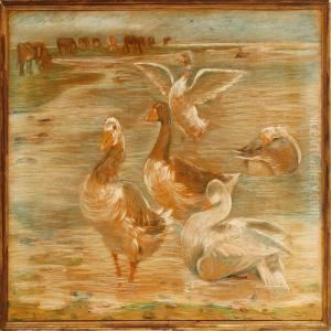 Geese And Cattle On Saltholm Island
