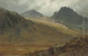 Tyfawr, Wales by Colin Bent Phillip