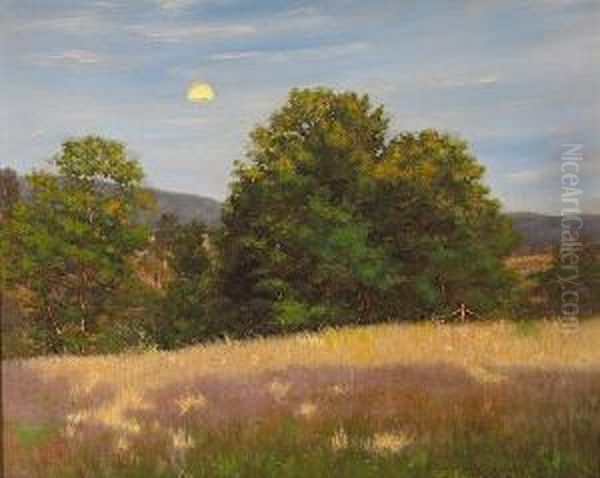 Long Shadows, Late Afternoon, Dover Plains, New York - view 1