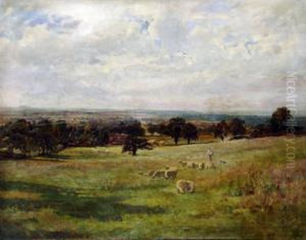 Tending The Flock - view 1