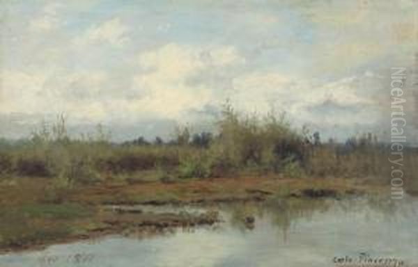 Nella Palude - view 1