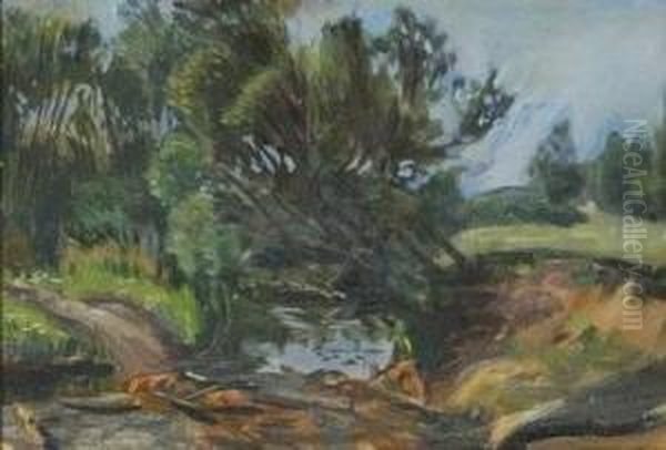 Landscape - view 1