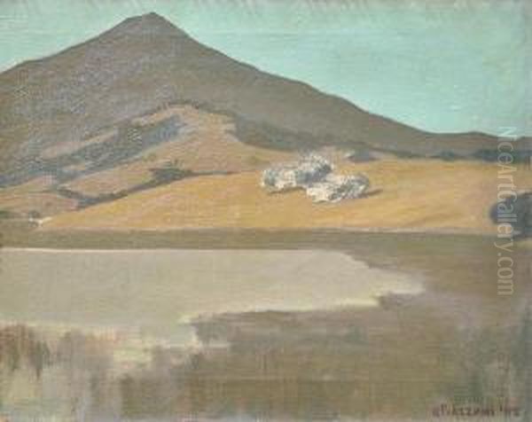 View Of Mount Tamalpais - view 1