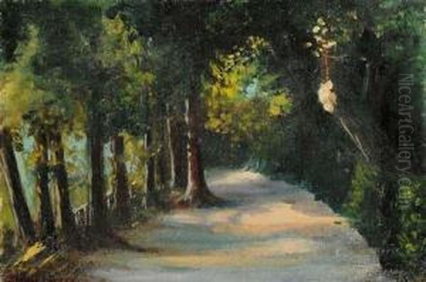 Paesaggio - view 1