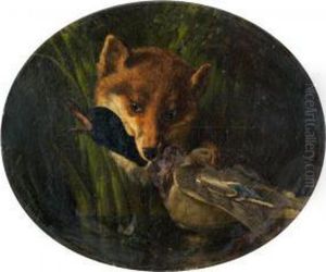 Renard Saisissant Un Col Vert by Olivier Pichat