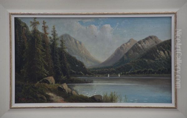 Paesaggio Alpino Con Lago - view 1