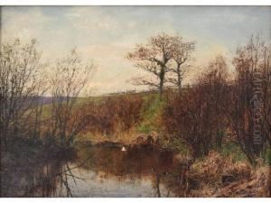 The Home Of The Moorhen