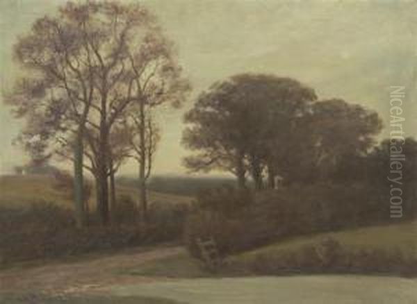 Path Through The Trees - view 1