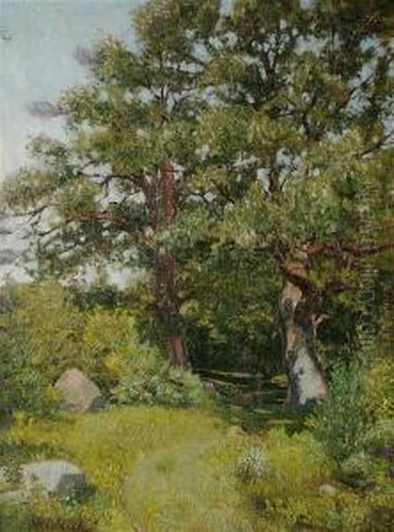 Summer Meadow - view 1
