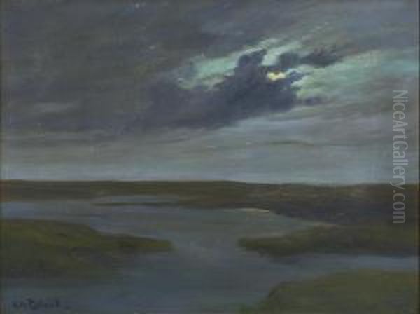 Marsh Landscape - view 1
