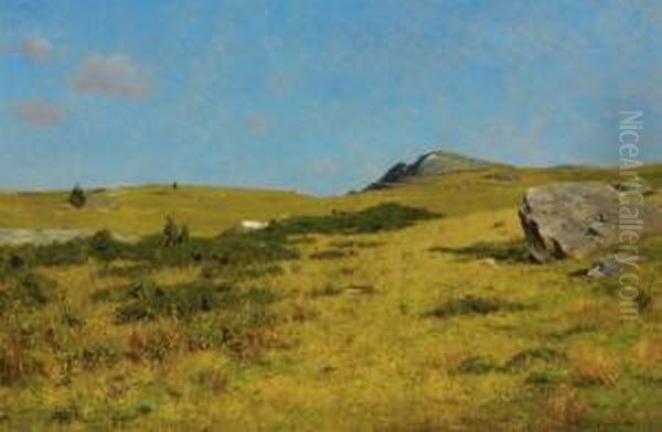 Meadow - view 1