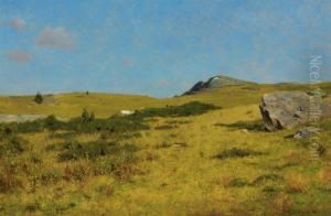 Meadow Meadow