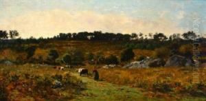 Lande De Kerren, Finistere