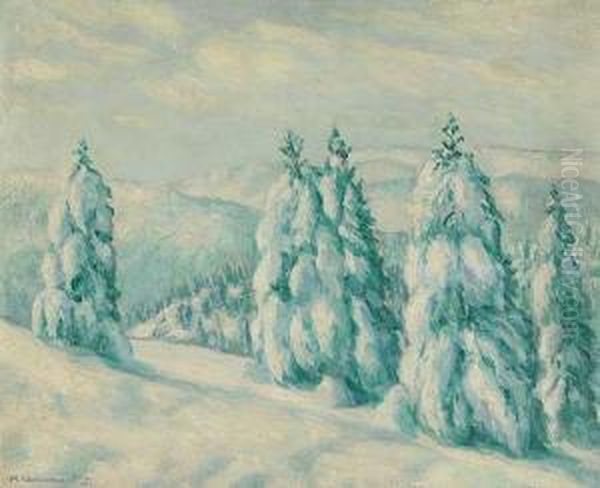 Paisaje Nevado. - view 1