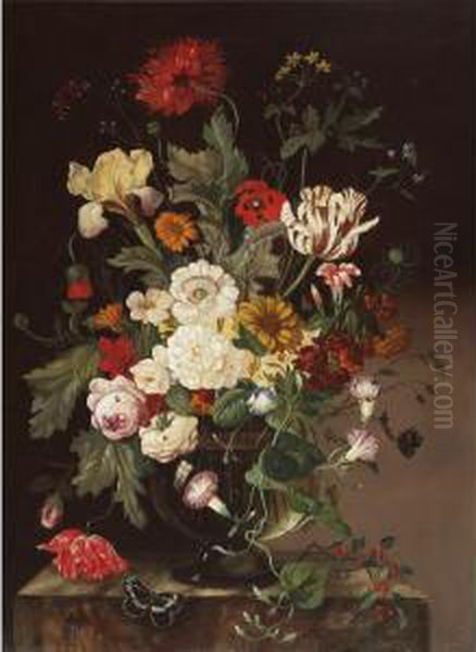 Still Life - view 1