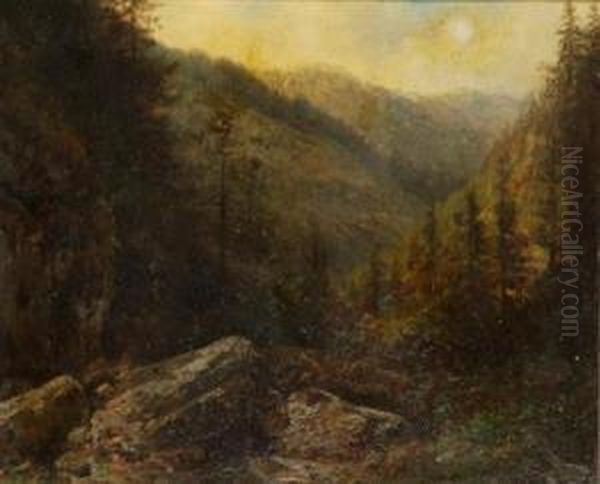 A Forest Brook - view 1