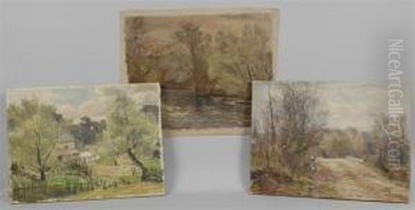Landscape - view 1