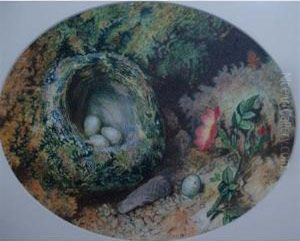Still Life With Bird's Nest by Charles Franklin Pierce