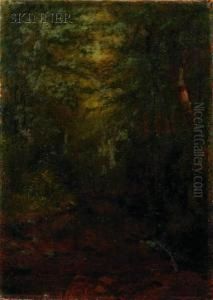 Brook Study, North Woodstock, New Hampshire by Charles Franklin Pierce