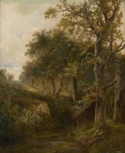 La Riviere Ensoleillee by Gustave Pieron