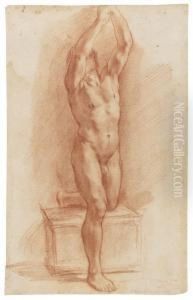 Male Nude With His Arms Above His Head