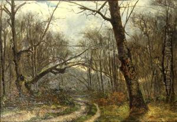 Sous Bois - view 1