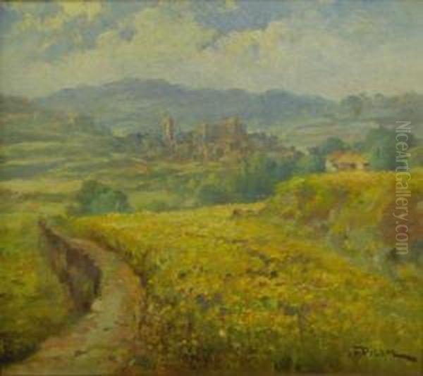 Paisaje - view 1