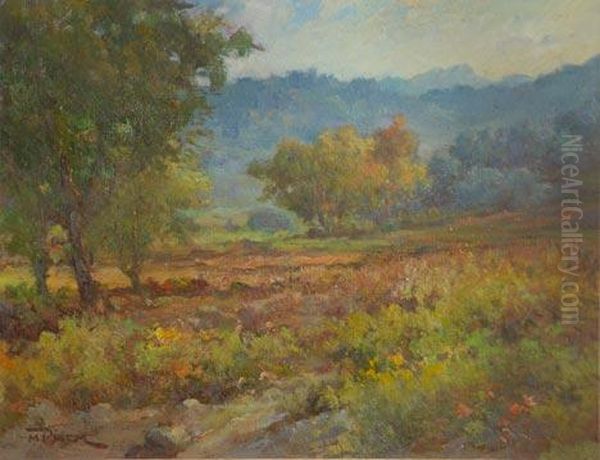 Paisaje - view 1