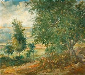 Paisaje by Manuel Pigem Ras