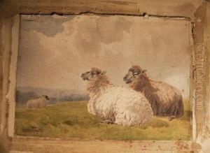 Recumbent Sheep by Charles Pigott